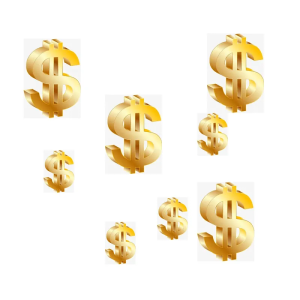 Customize aggregated payment link